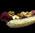 Best Maxwell Polish Sausage 1/4 lb in Vernon Hills, IL